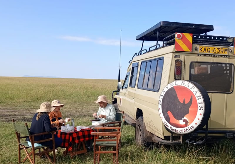 About Maxvel Tours - 3